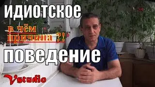 В чём причина идиотского поведения ?