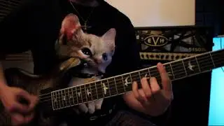 JST ToneForge Misha Mansoor  - Conquering The Beyond (original song by Amir Poorhafezi)