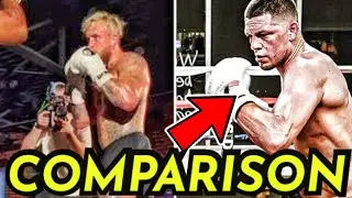 JAKE PAUL vs NATE Diaz Side By Side