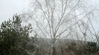 Загорці село 1stx