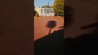 Топовая охрана двора.Смех до слёз. Смотреть всем.