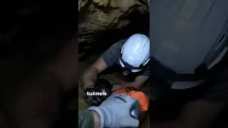 Creepy Caves & Legends of Appalachia