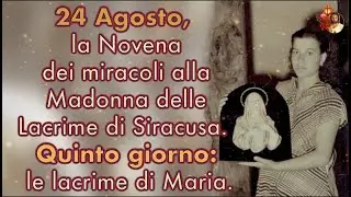 24 Agosto, la Novena dei miracoli alla Madonna delle Lacrime di Siracusa  Quinto giorno  le lacrime