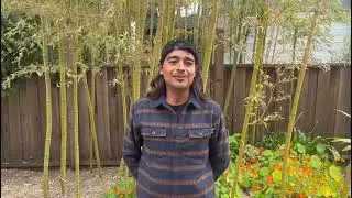 CSP Class of 2024 Graduate Aldo Zavala Elevator Introduces his Capstone Project
