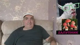 Залупник жрёт мухоморы. И это не шутка