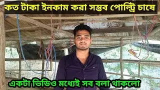 Poultry Profit।।পোল্ট্রি চাষ করে সত্যি কি টাকা ইনকাম করা সম্ভব।।