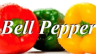 Top 10 Health Benefits of Bell Pepper