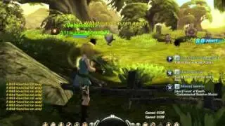 Dragon Nest Dawn of room impossible