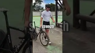 Tree Trunks For Legs (@igornova.br)