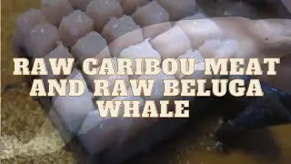 Raw caribou meat and raw beluga whale