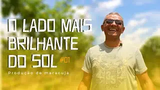 O lado mais brilhante do sol - EP 01 - Produção de maracujá