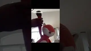 FOXY’S WORLD! | Official Trailer!