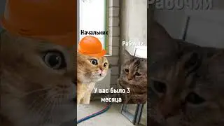 Начальник пришел на работу! 