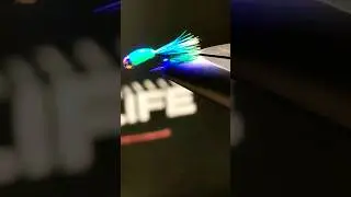 Мушка для ловли на бомбарду 