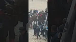 бузкаши қд нов ҳалимполвон бо аспи с7 05 03 23🇹🇯🇺🇿🇰🇬🇰🇿👍