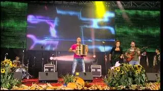 ZORAN ZORKO IN BAND - SUNNY DAY