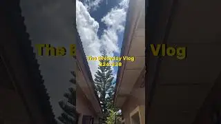 The Everyday Vlog 226-228