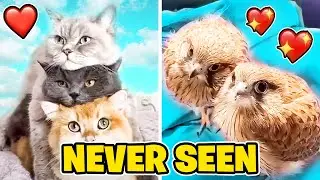 Cute Moments That Will Melt Your Heart ❤️ #1