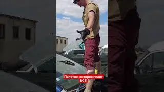 Полотно по дереву против лобового стекла