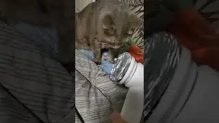 Посадку давай!!! 