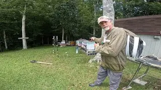 Warden's Farm Hive 1 update