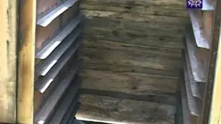 Gardu kūpināto zivju noslēpums slēpjas priežu čiekuros