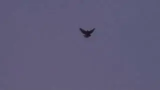 Для гонщиків
