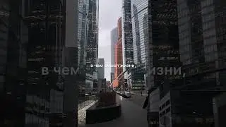 смысл жизни