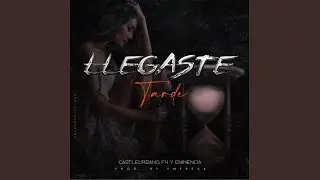 Llegaste Tarde