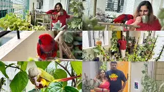 Our Home Garden Tour | More details in description | #homegarden #the_tropical_ramp
