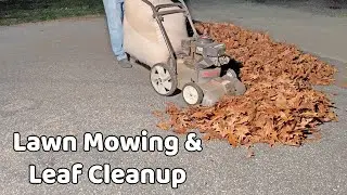 Mowing the Lawn & Leaf Cleanup - Early November