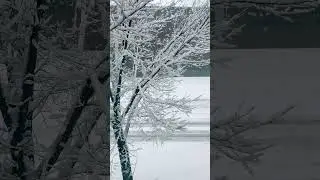Spring Snowfall In Iowa #iowa