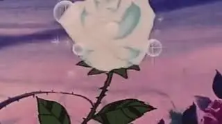 a e s t h e t i c  c h i l l  r e m i x