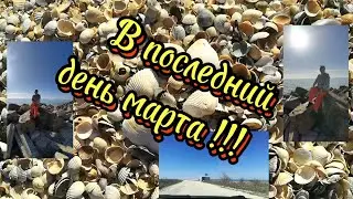 В последний день марта рванули к морю , кто с нами ? Приглашаем !