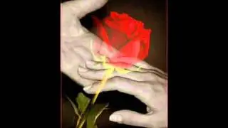 il nome della rosa 2
