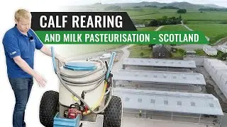 Calf Rearing & Milk Pasteurisation – Scotland
