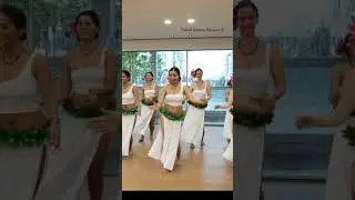 🌺Join Us #danceclass #tahitidancefitness #fun #workout #oritahiti #fitness #cardio #tahitiandance
