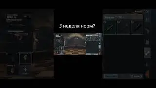 +золото броня + мк14 золото найс