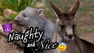 😈 Naughty & Nice 😇