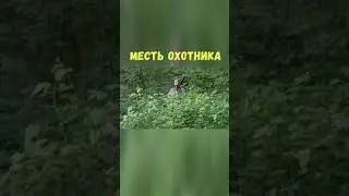 Месть Охотника | Приколы Охота Рыбалка Туризм | Тик Ток 