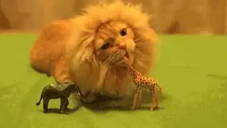 Царь зверей