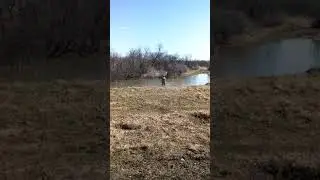 Уроды уже в поле сети ставят! 