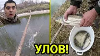 I catch fish with a spider in my own pond. A pond at the dacha. A pond on the plot.