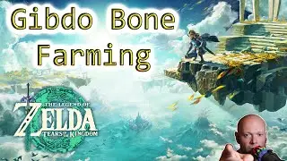 Zelda TOTK ● How I Farm Gibdo Bones After Beating The Lightning Temple