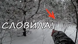 Сгоненный ЗАЯЦ! ОКОЧЕНЕЛ! Добыли без единого выстрела! Охота на ЗАЙЦА! Сезон 2022-2023! #7