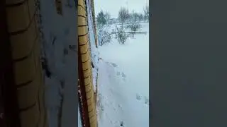 Кот Рыжик первый снег Крым