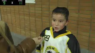 Гвоздика - Ястребы