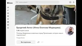 Перечисляйте деньги приюту для животных 