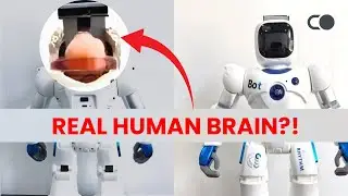 How humanized ROBOTS are changing the world