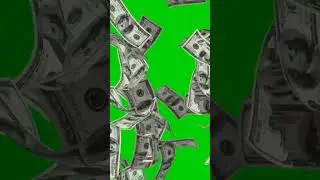 Money Falling Green Screen Video #money #greenscreen